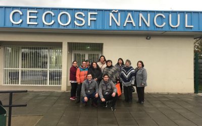 Visita CECOSF Ñancul
