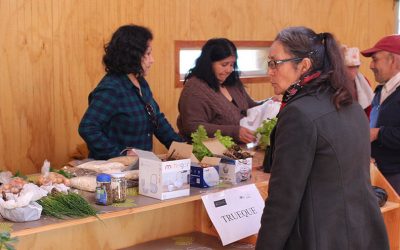 PROGRAMA VIDA SANA LANZA PROYECTO PILOTO EN GORBEA
