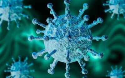 Minsal Reporta 3.913 Nuevos Contagiados Por Coronavirus Y 19 Fallecidos En Las Últimas 24 Horas En Chile