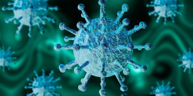 Minsal Reporta 3.913 Nuevos Contagiados Por Coronavirus Y 19 Fallecidos En Las Últimas 24 Horas En Chile