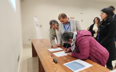 Reunión COSOC Nodo Sur