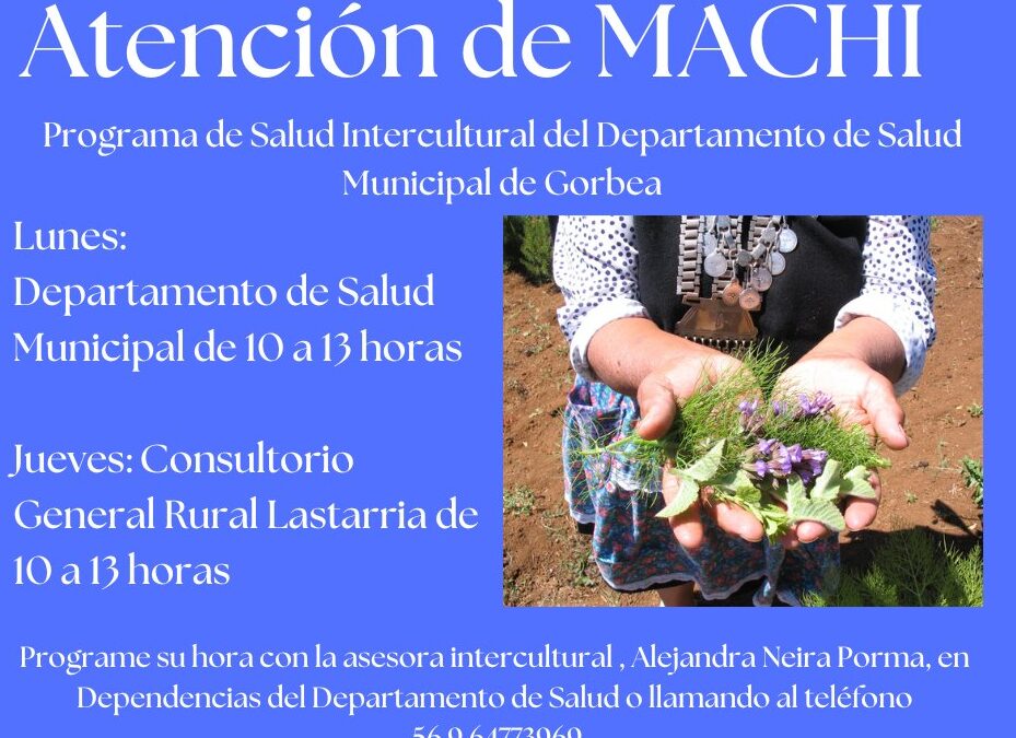 Programa de Salud Intercultural Plan Araucanía