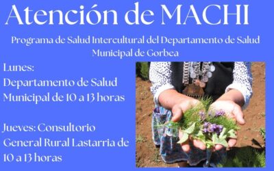 Programa de Salud Intercultural Plan Araucanía