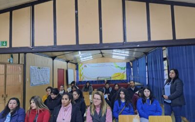 Taller Preventivo y de Habilidades Parentales