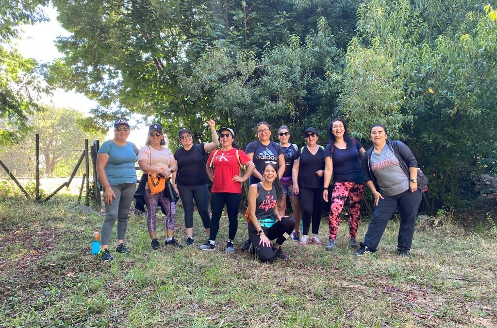 Programa Elige Vida Sana Gorbea informa a la comunidad que hay cupos disponibles para el inicio de este ciclo