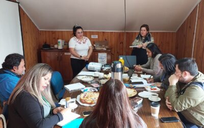 Reunión de asesores interculturales Programa de Salud Mapuche Nodo Sur