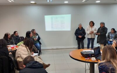Asamblea Consejo de Desarrollo de la Sociedad Civil (COSOC) Nodo Sur