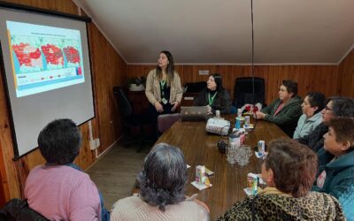 Talleres de Formación de Líderes Comunitarios en Salud