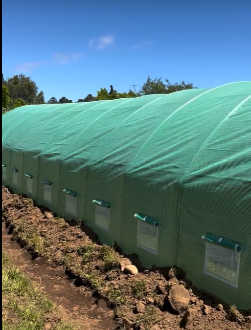 Entrega de Invernaderos a Establecimientos Educacionales